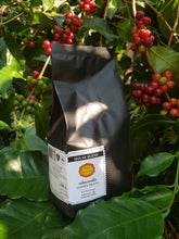 Load image into Gallery viewer, Coffee Beans, HOUSE BLEND, Dark Roasted, Bag 250g