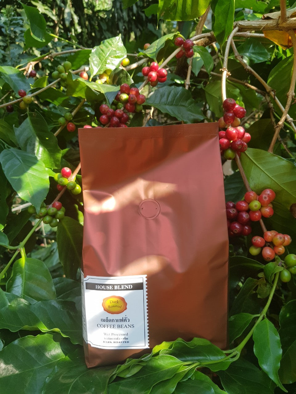 Coffee Beans, HOUSE BLEND, Dark Roasted, CAFE R'ONN, 500 gr.